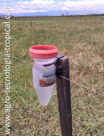 Pluvi&oacute;metro: instrumento para medir precipitaci&oacute;n 